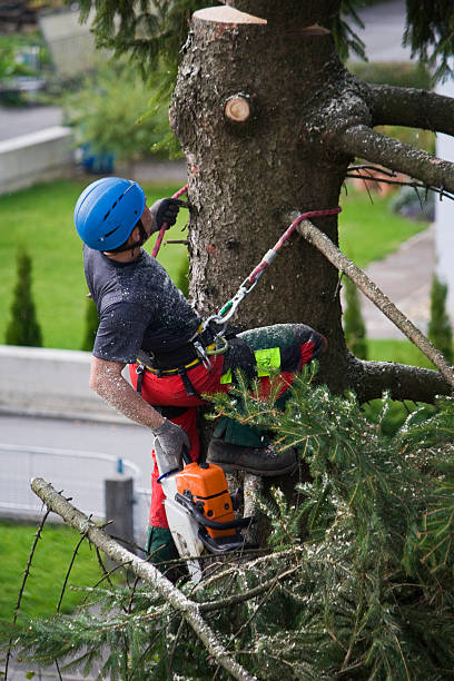 Mulching Services in Colleyville, TX